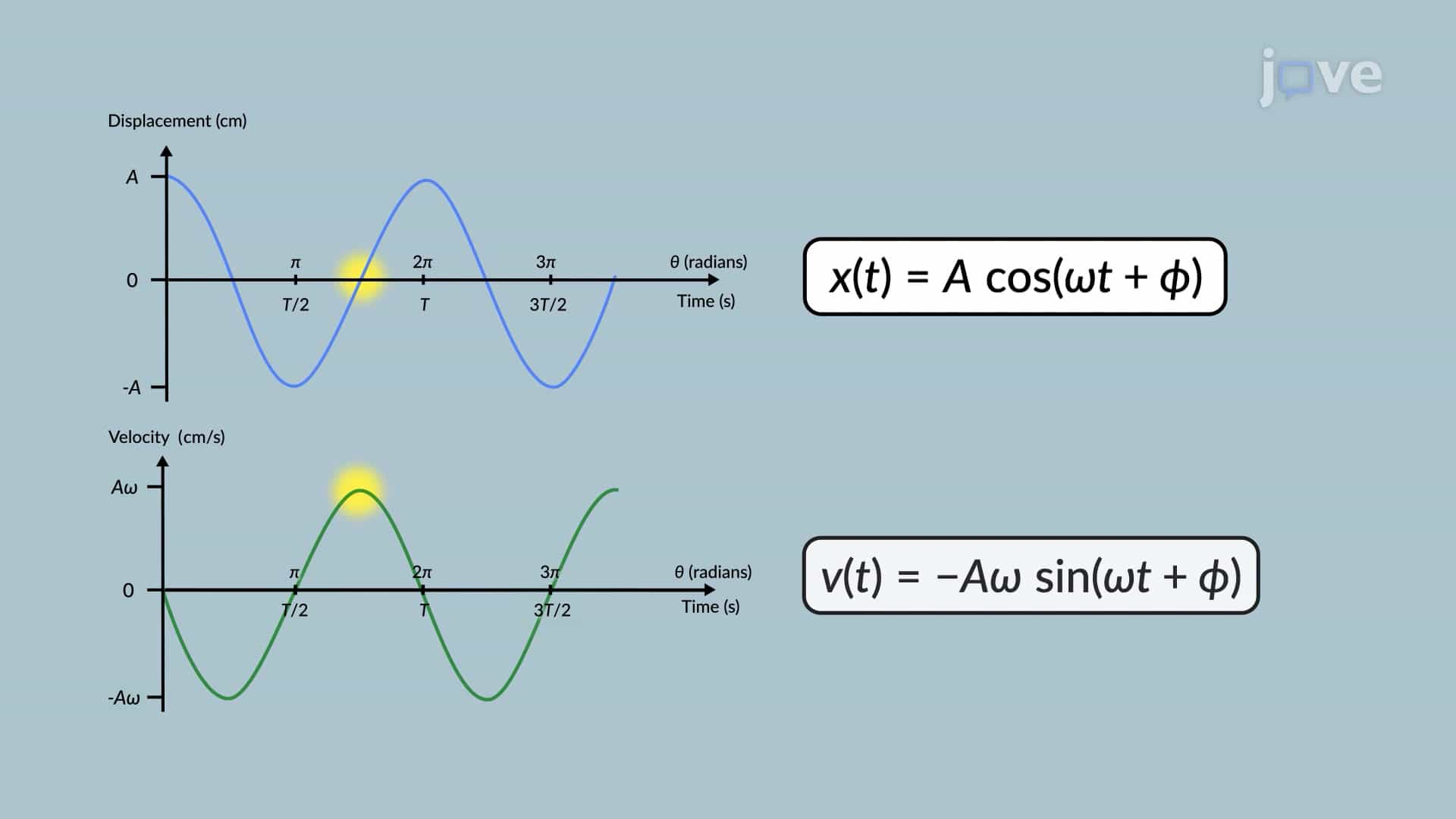 Characteristics of Simple Harmonic Motion