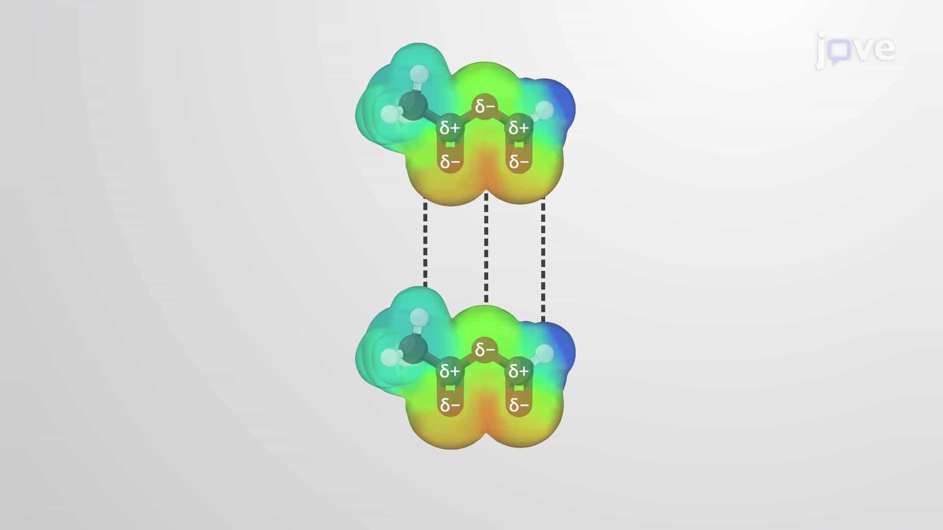 Physical Properties of Carboxylic Acid Derivatives