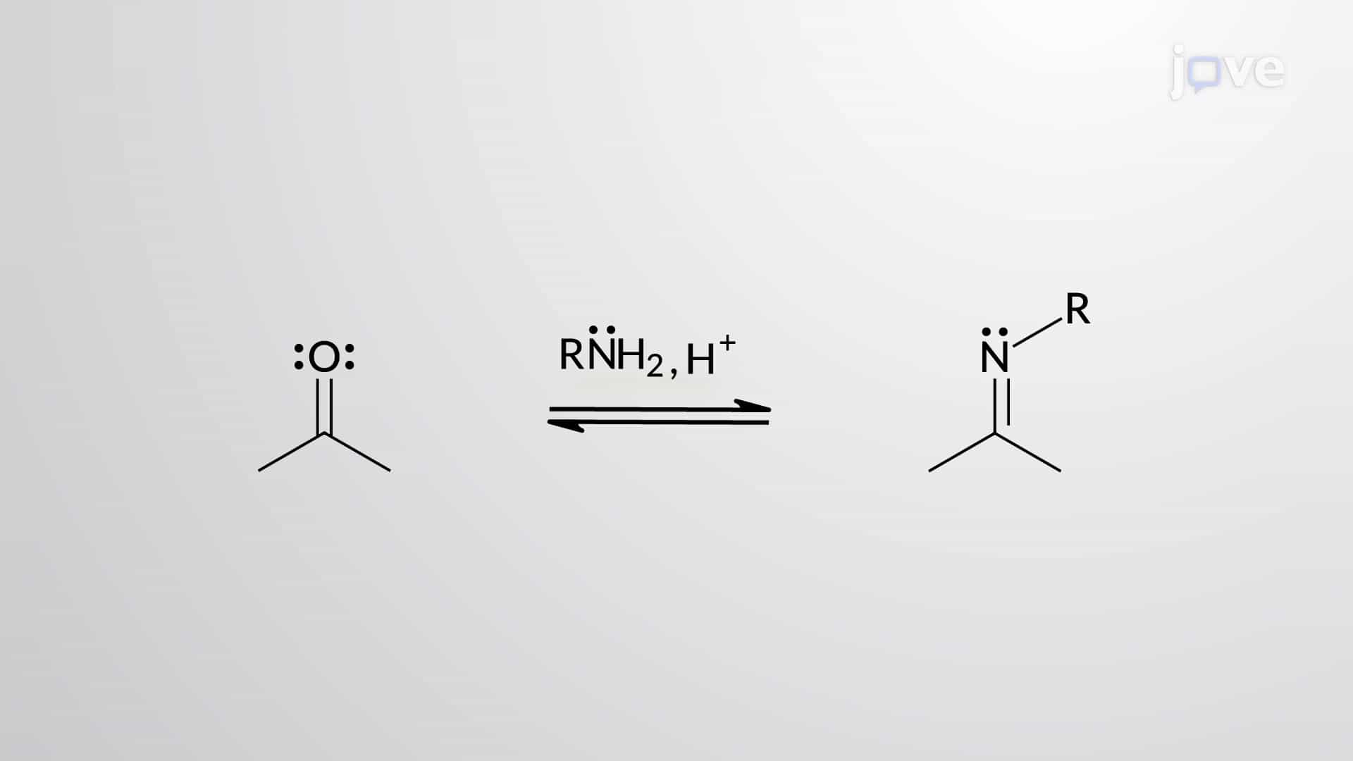 Aldehydes and Ketones with Amines: Imine Formation Mechanism