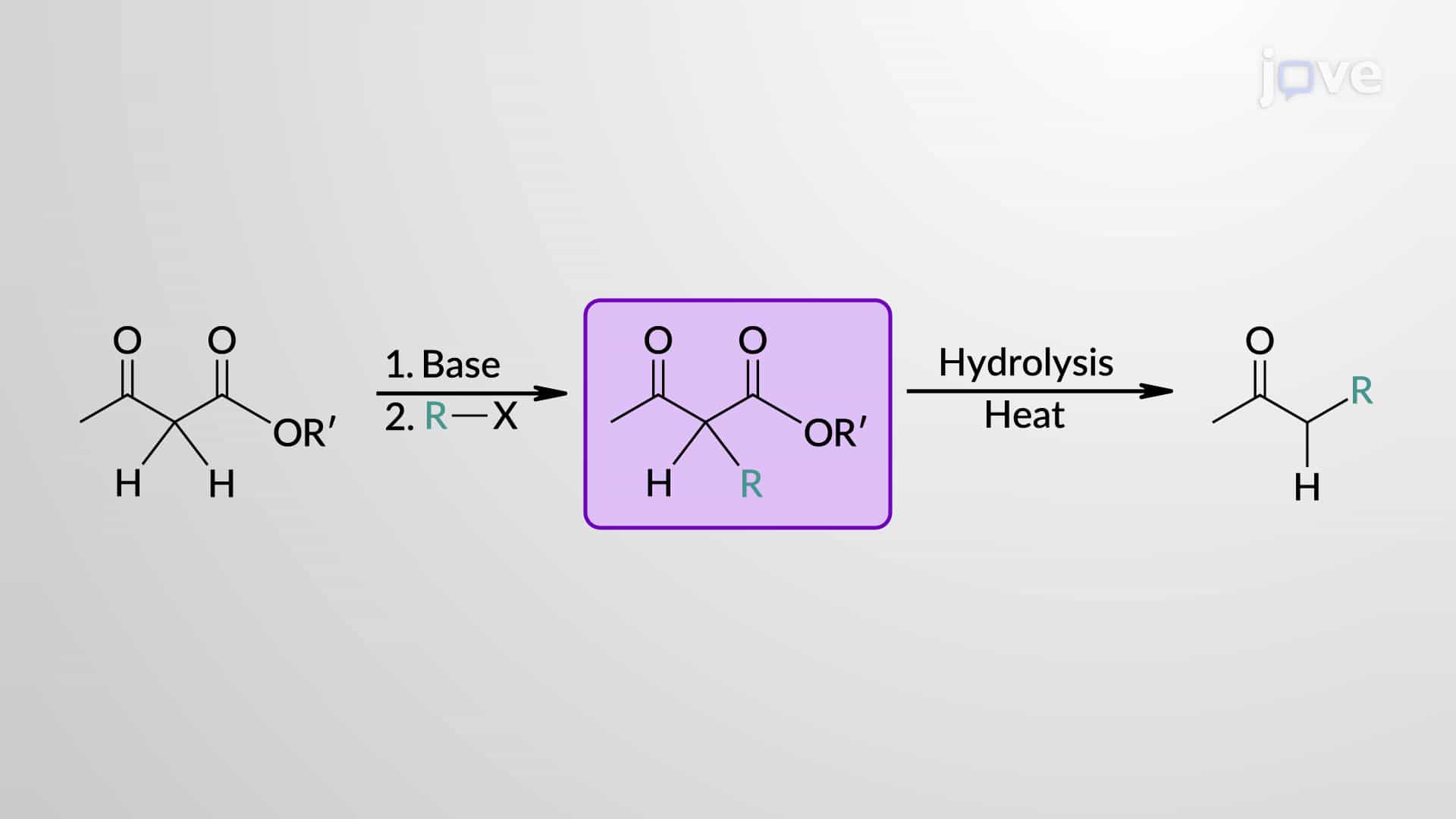 Alkylation of β-Ketoester Enolates: Acetoacetic Ester Synthesis