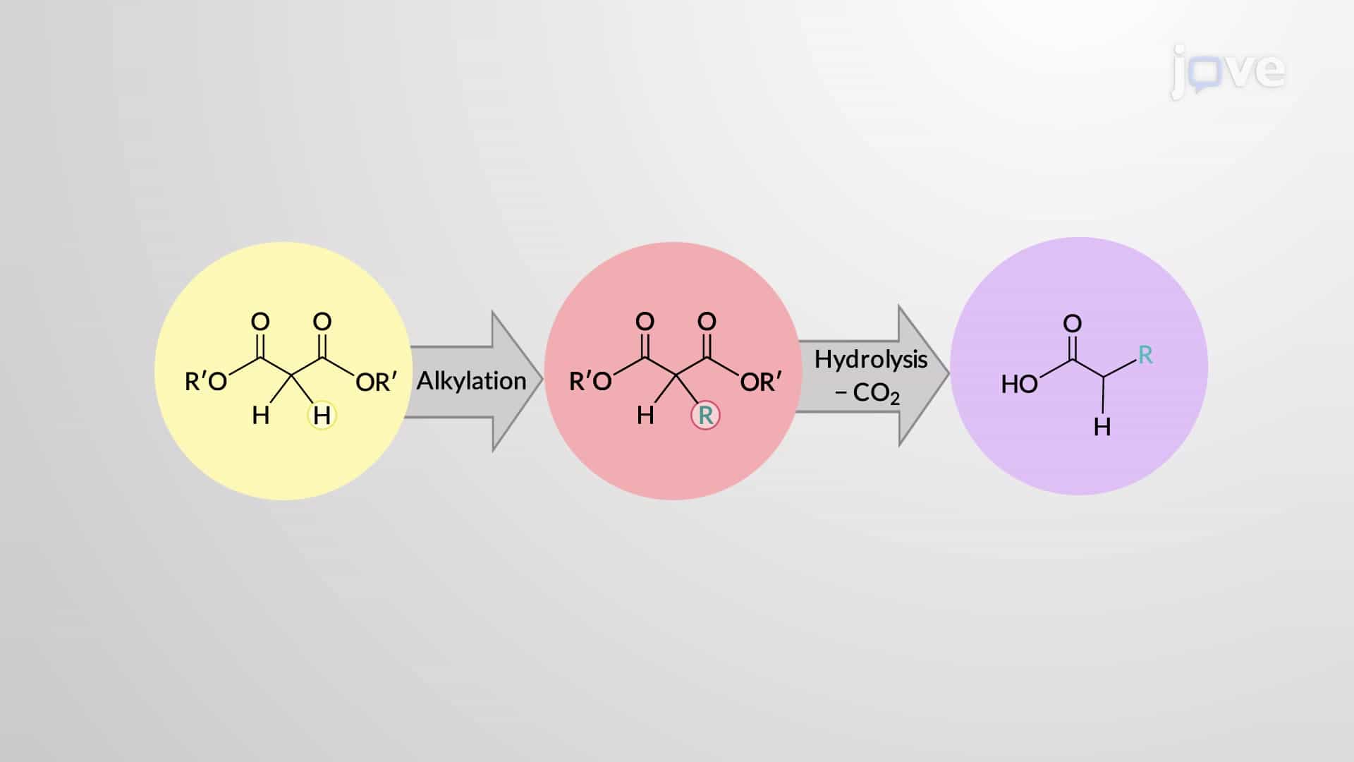 Alkylation of &amp;#946;-Diester Enolates: Malonic Ester Synthesis