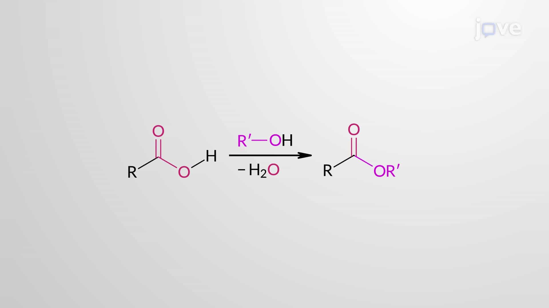 Carboxylic Acids to Esters: Acid-Catalyzed Fischer Esterification Mechanism