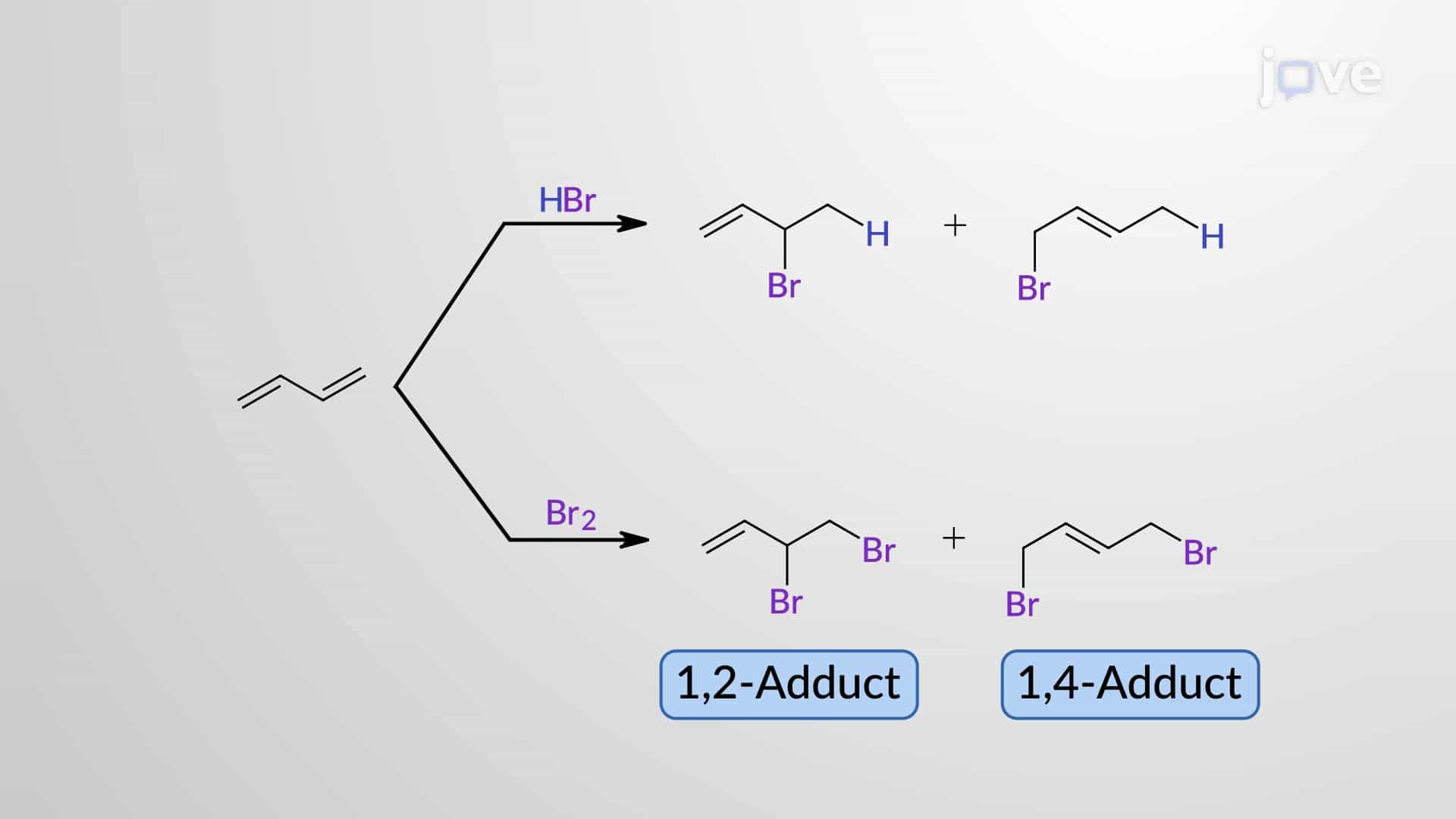 Electrophilic 1,2- and 1,4-Addition of X2 to 1,3-Butadiene