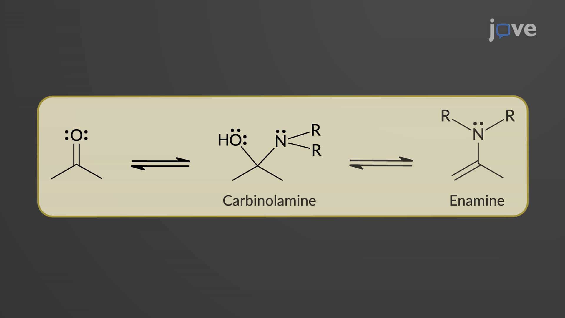 Aldehydes and Ketones with Amines: Enamine Formation Mechanism