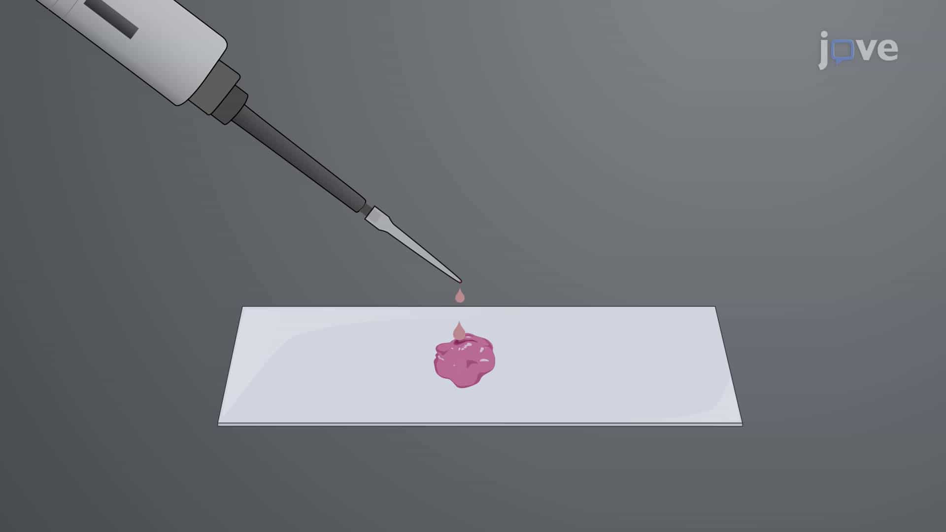 Fixation and Sectioning