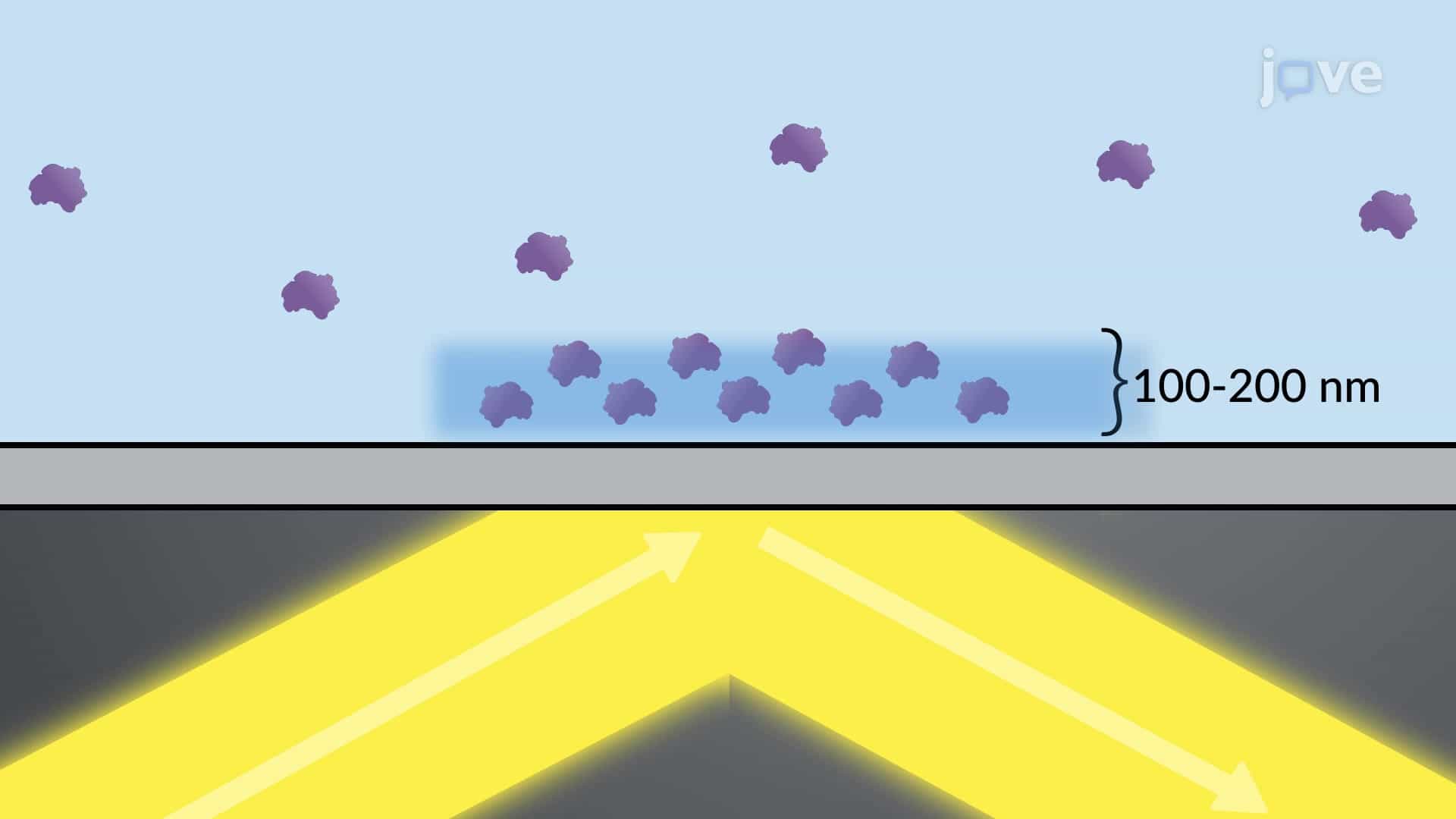 Total Internal Reflection Fluorescence Microscopy