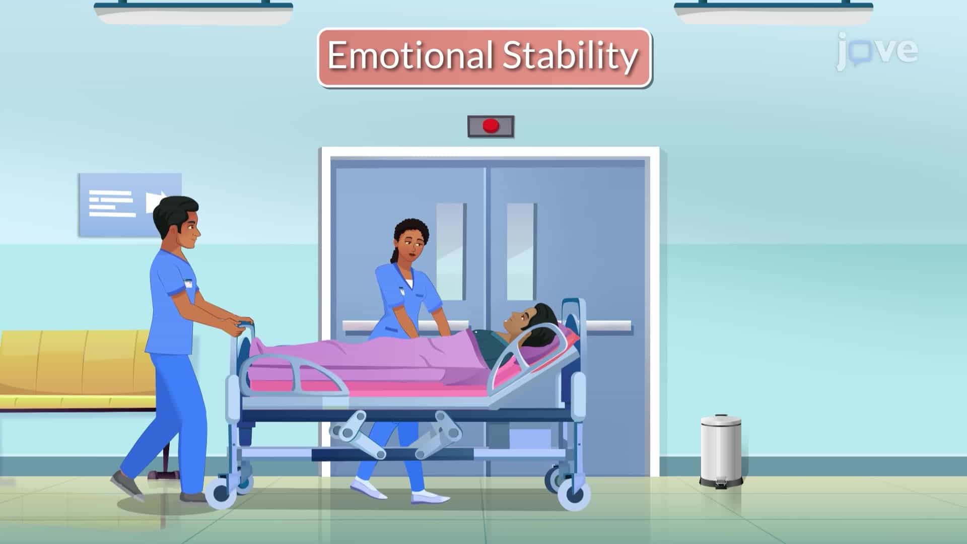 The Professional Nurse