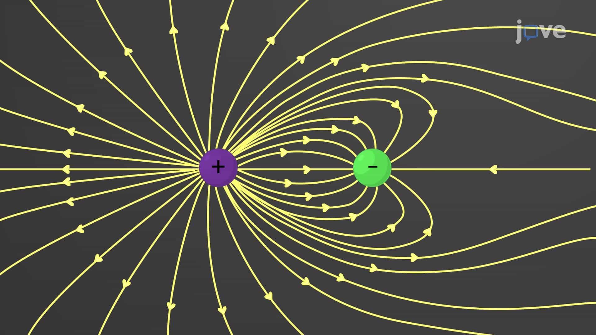 Electric Field Lines