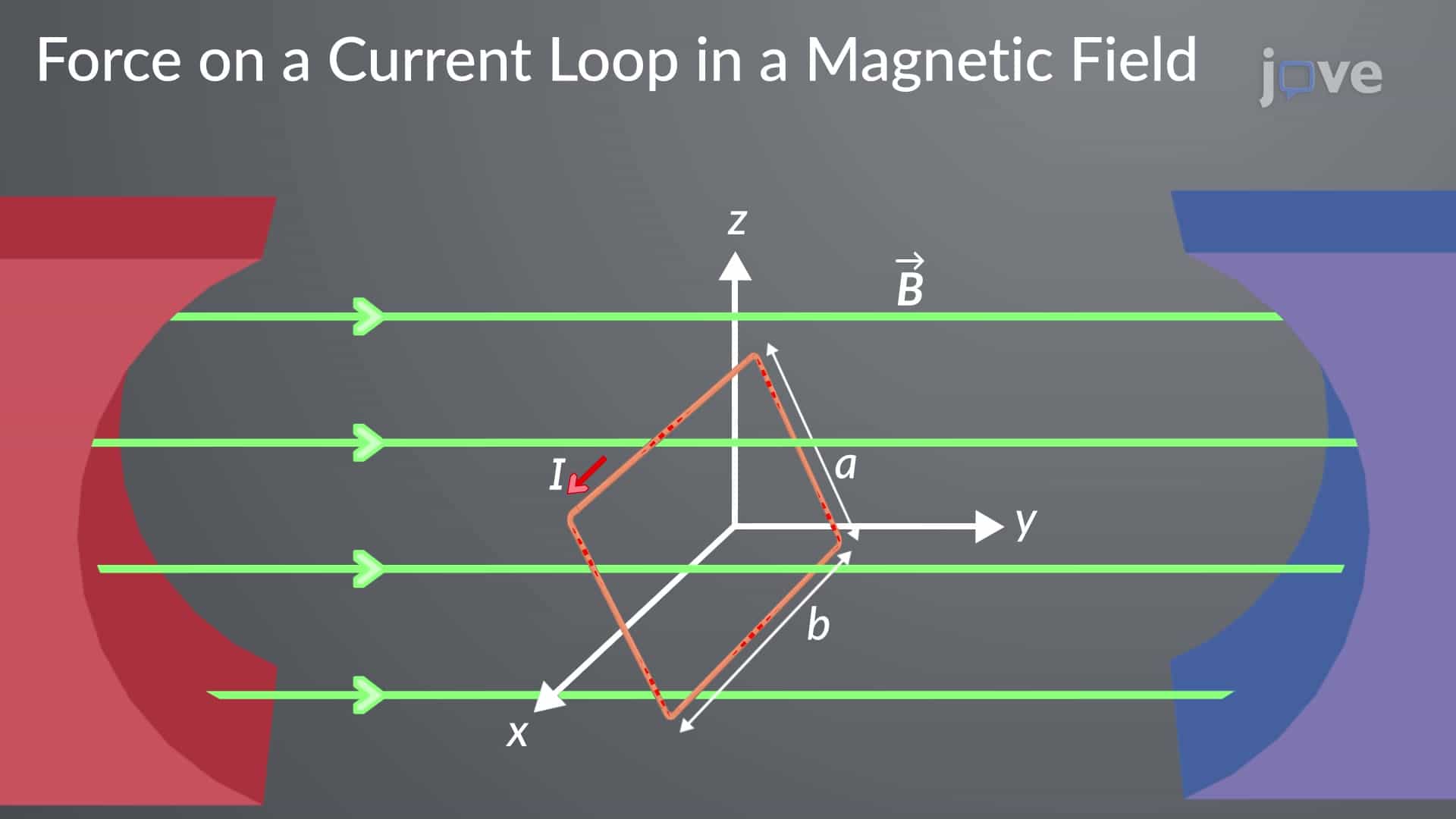 Force On A Current Loop In A Magnetic Field