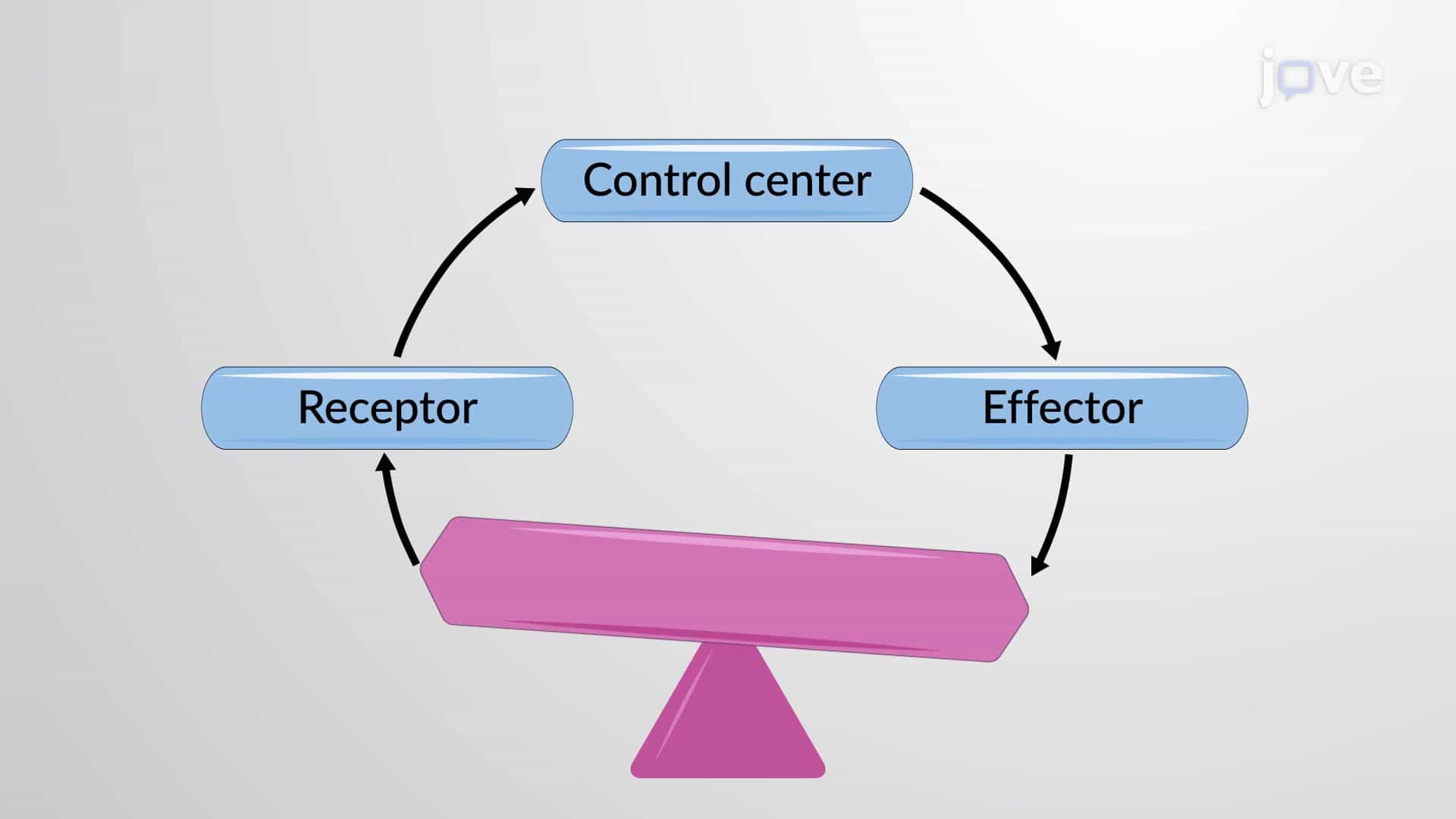 Homeostatic Imbalance