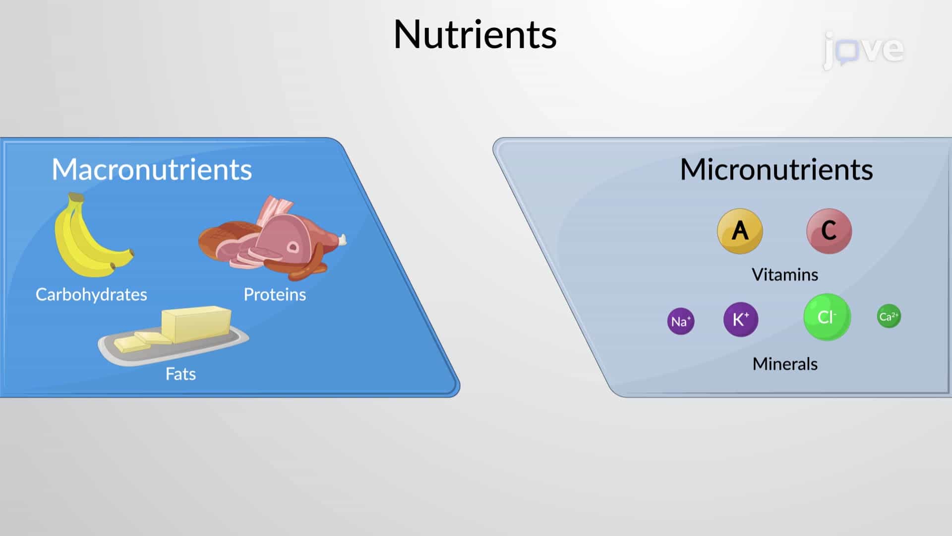 Compounds Essential to Human Function
