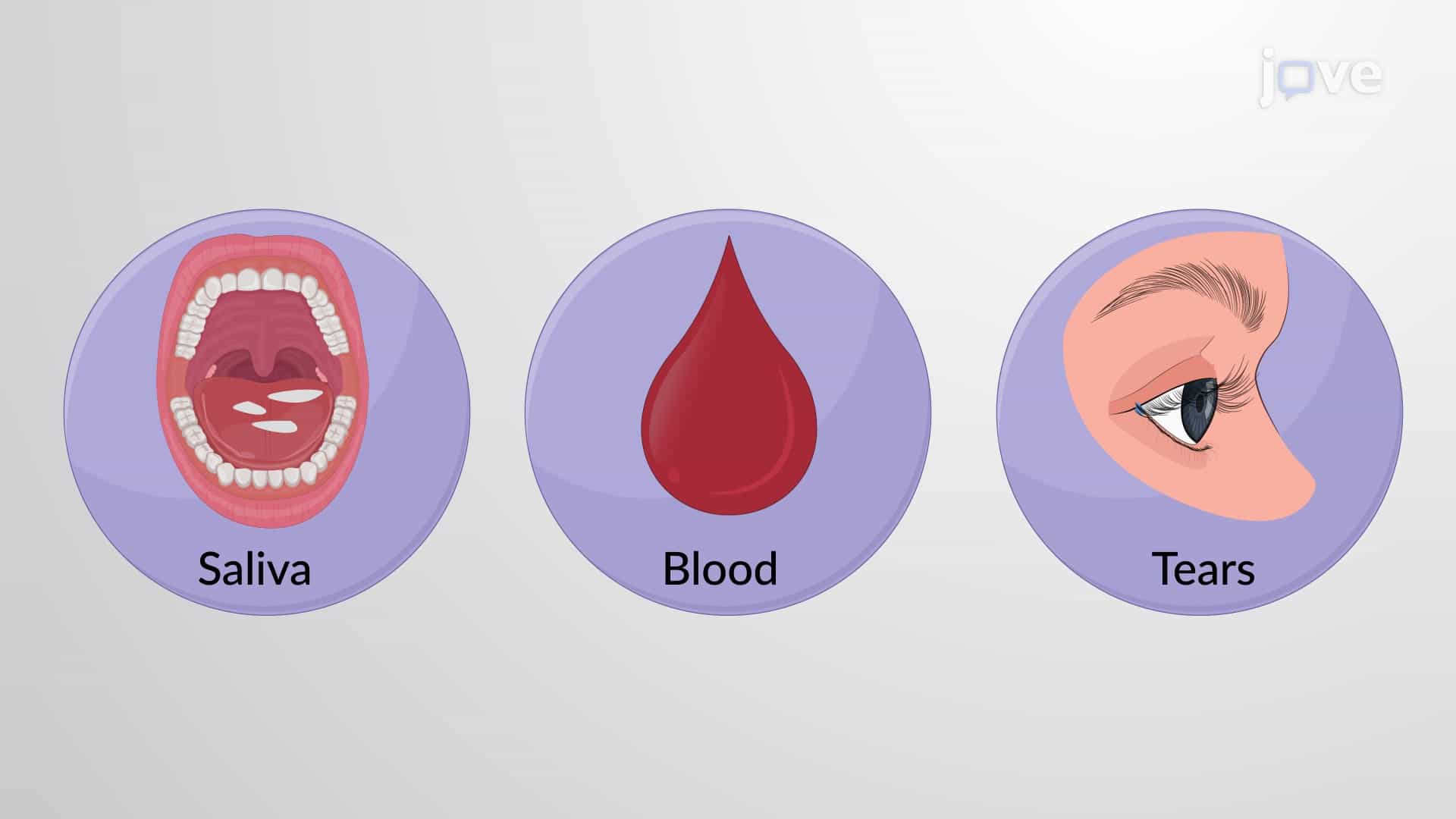 Role of Water in Human Biology