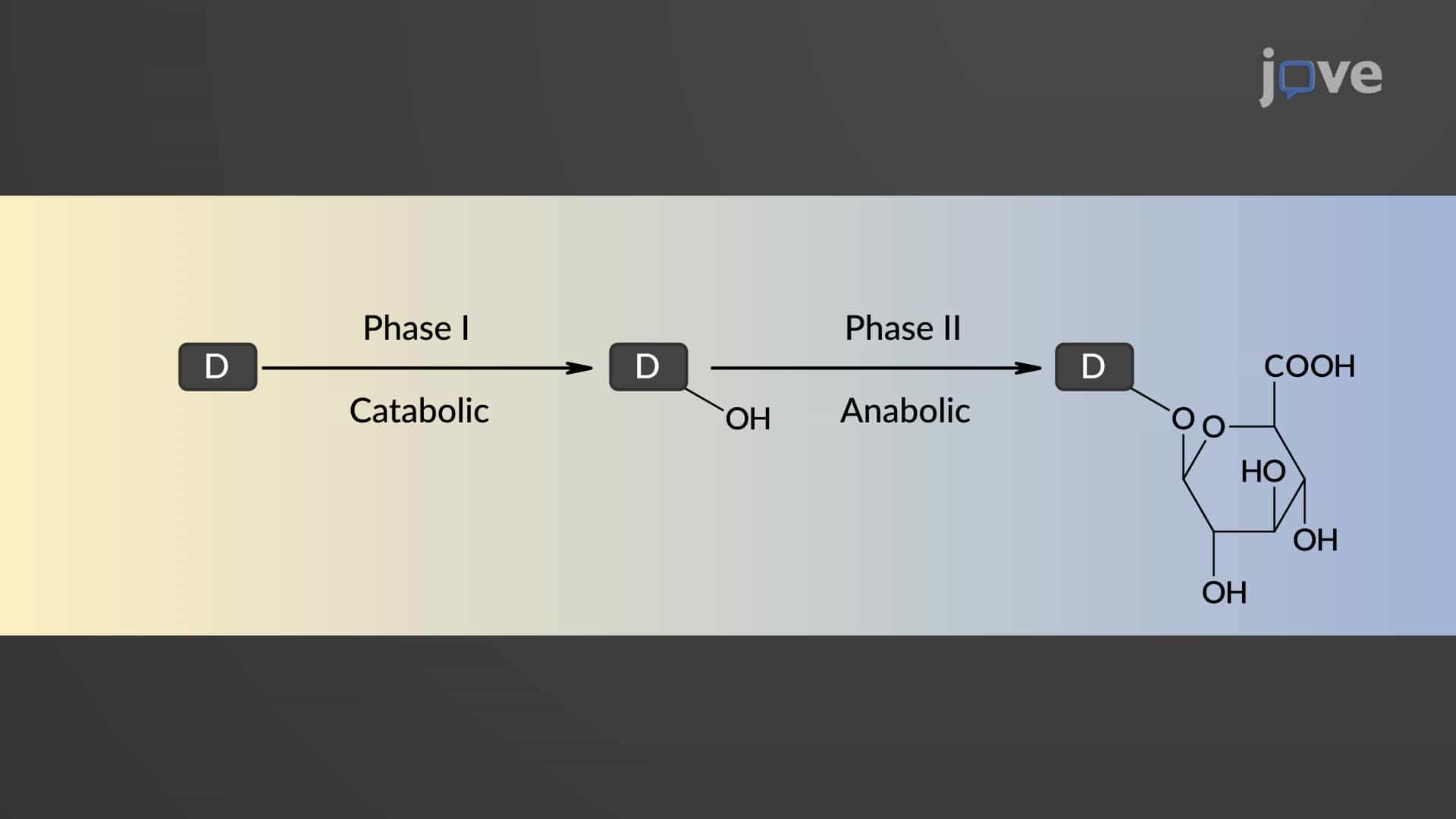 Drug Biotransformation: Overview