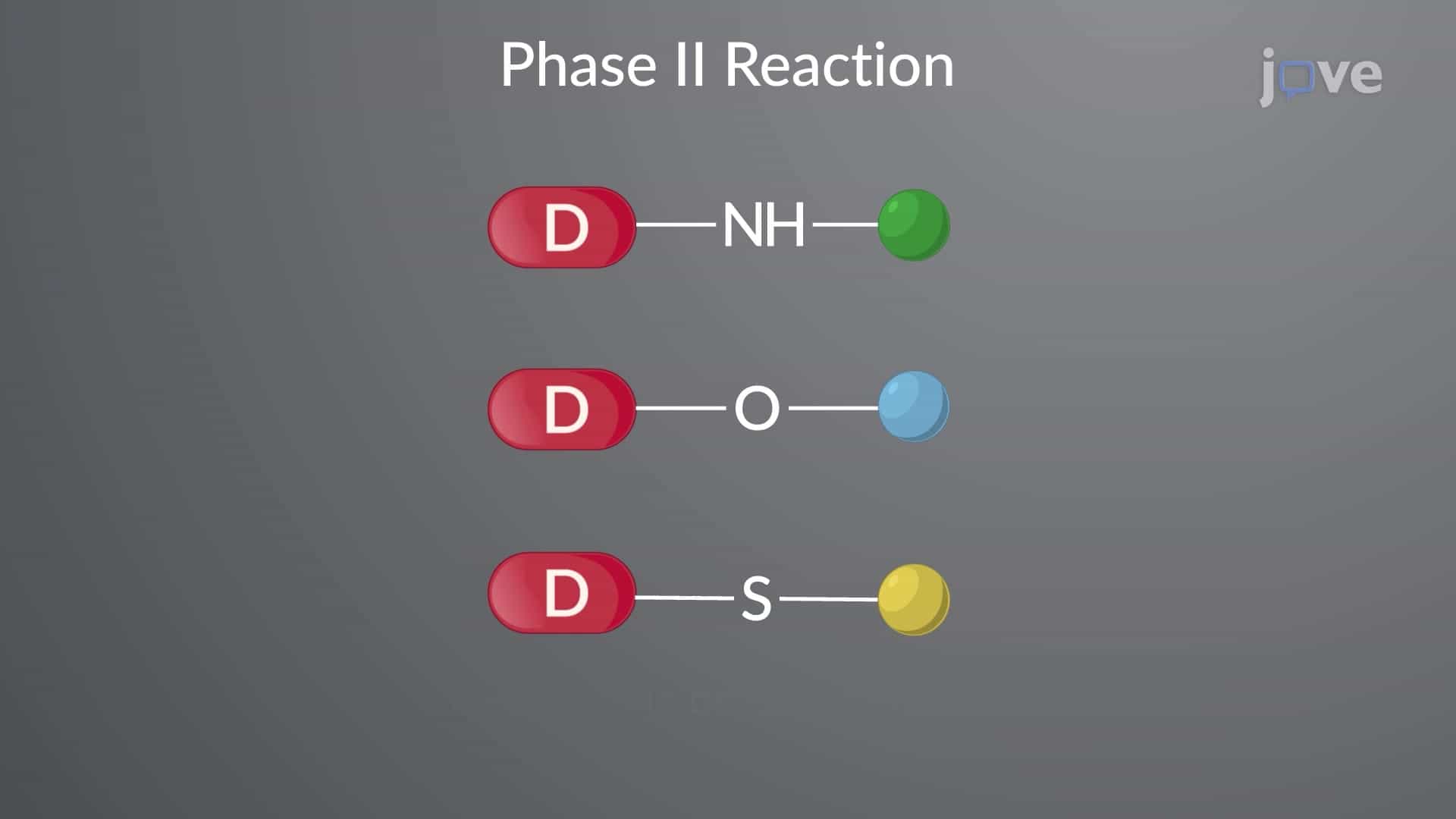 Drug Metabolism: Phase II Reactions