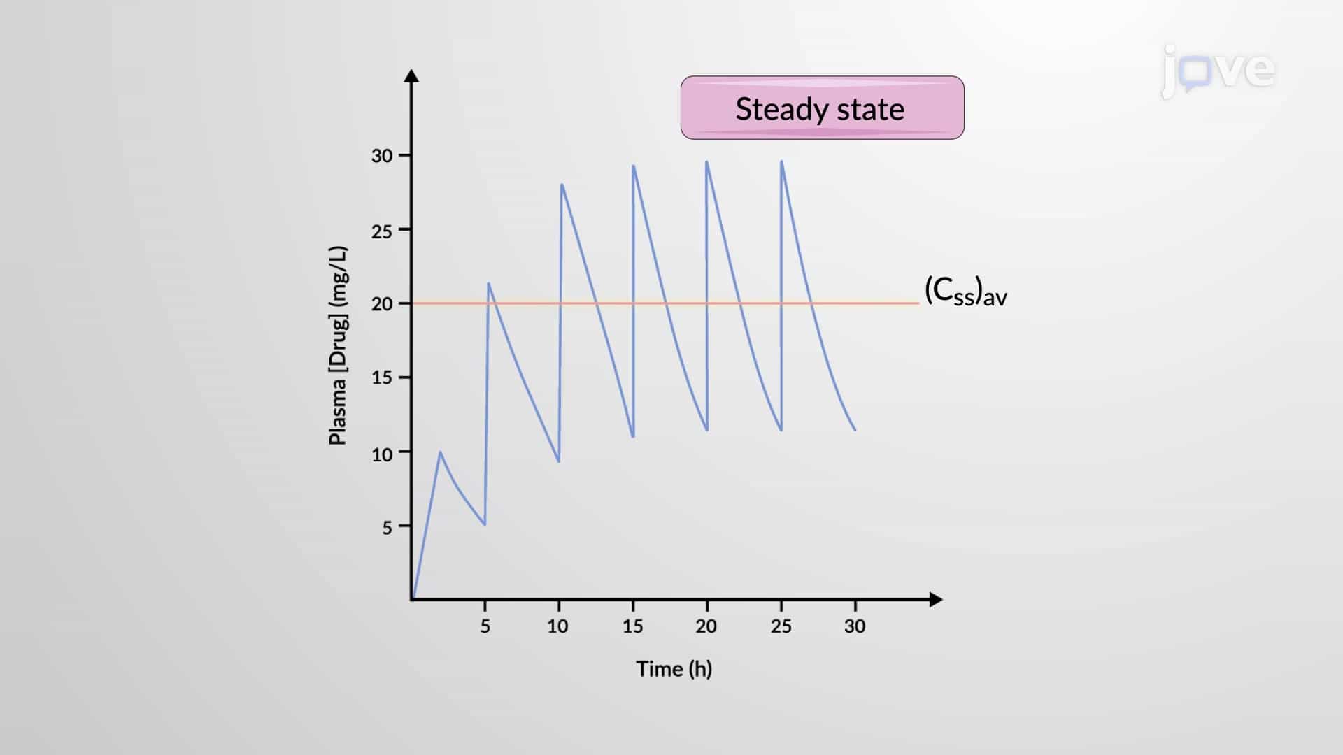 Steady State Concentration