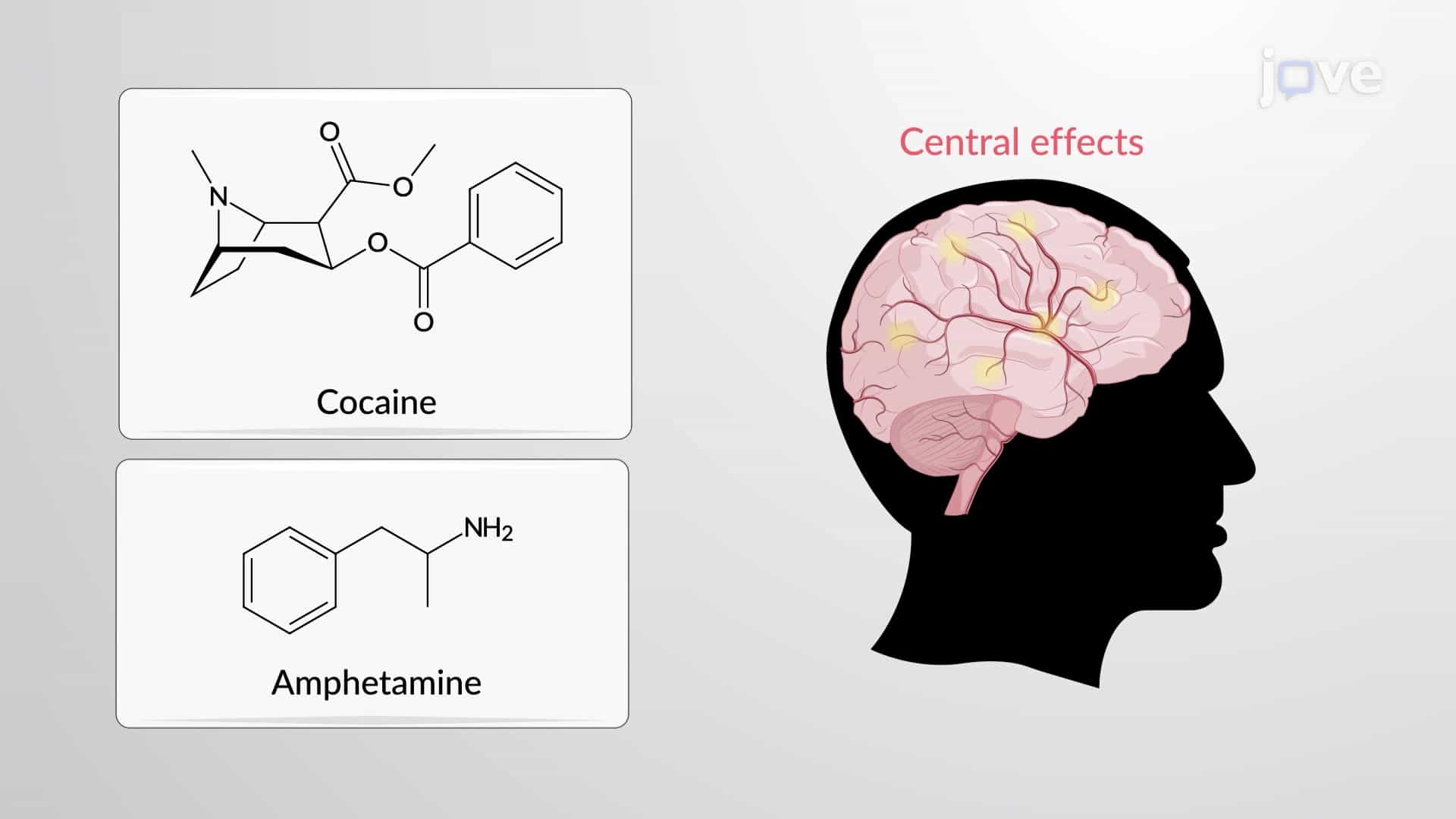 Adrenergic Agonists: Indirect-Acting Agents
