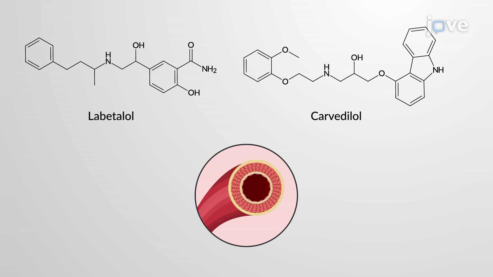 Adrenergic Antagonists: &amp;#593; and &amp;#946;-Receptor Blockers