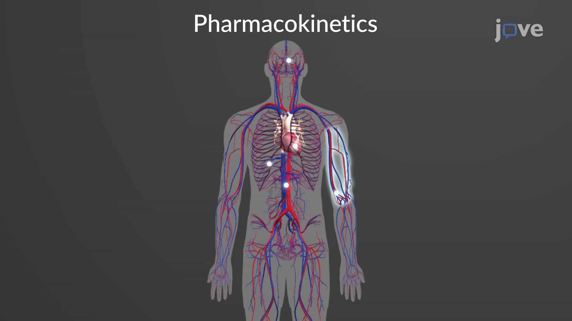 Local Anesthetics: Pharmacokinetics