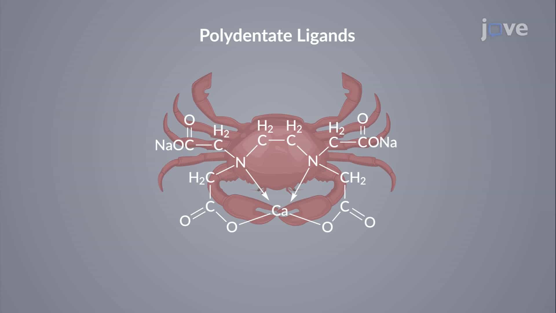 Complexation Equilibria: The Chelate Effect