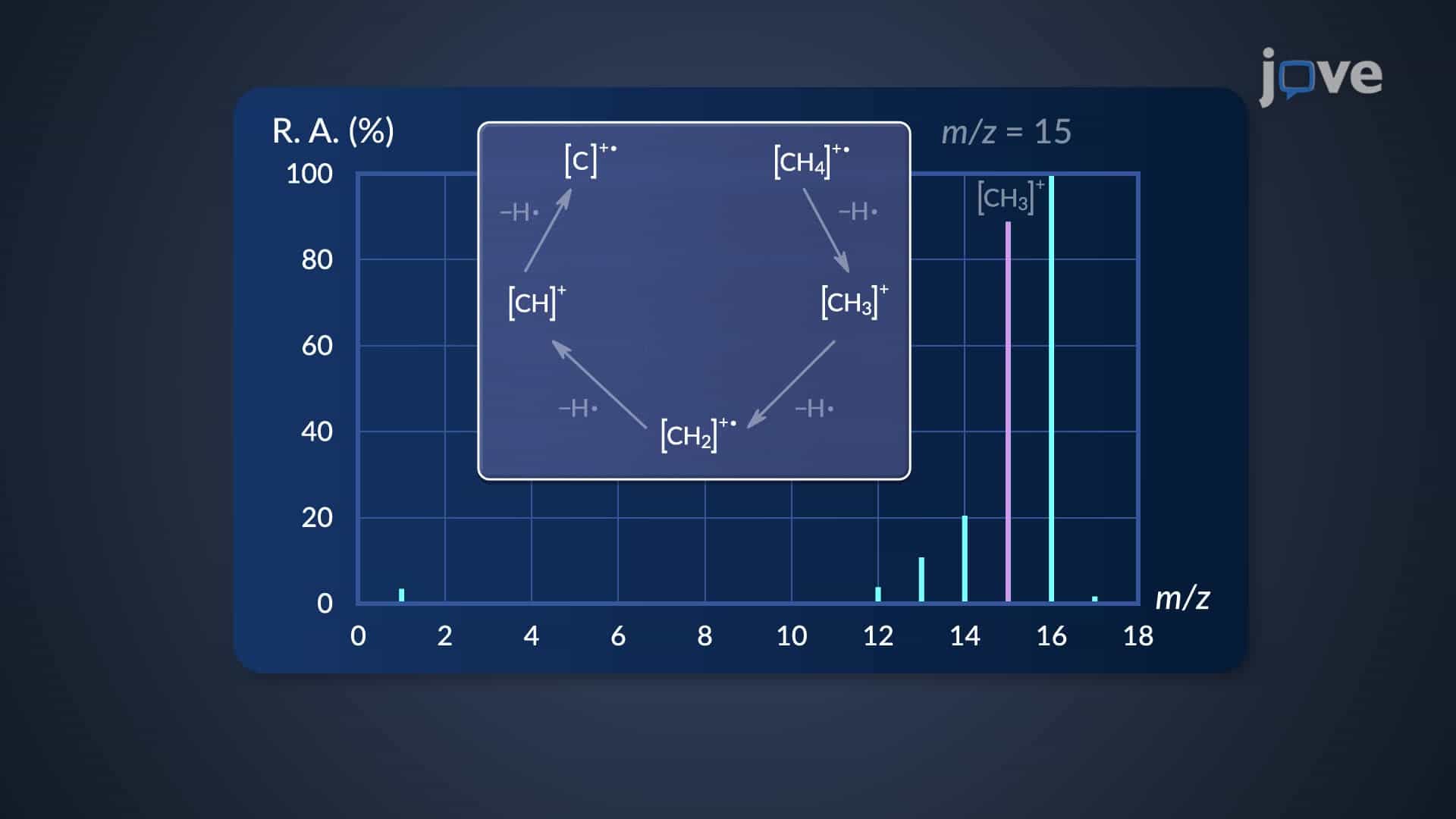 Mass Spectrum: Interpretation