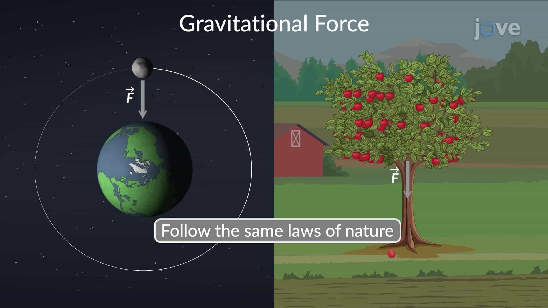 Gravitation