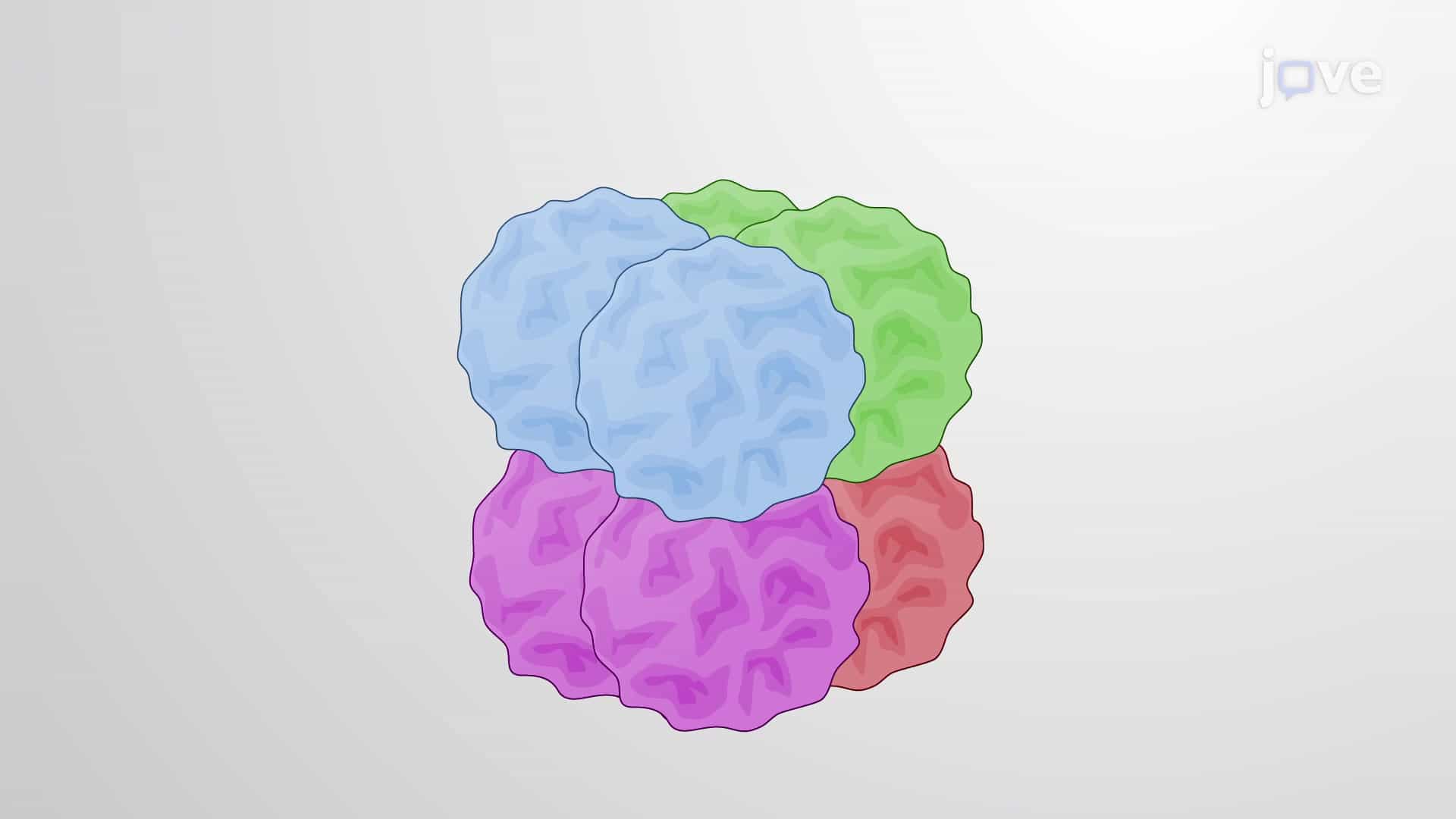 The Nucleosome Core Particle