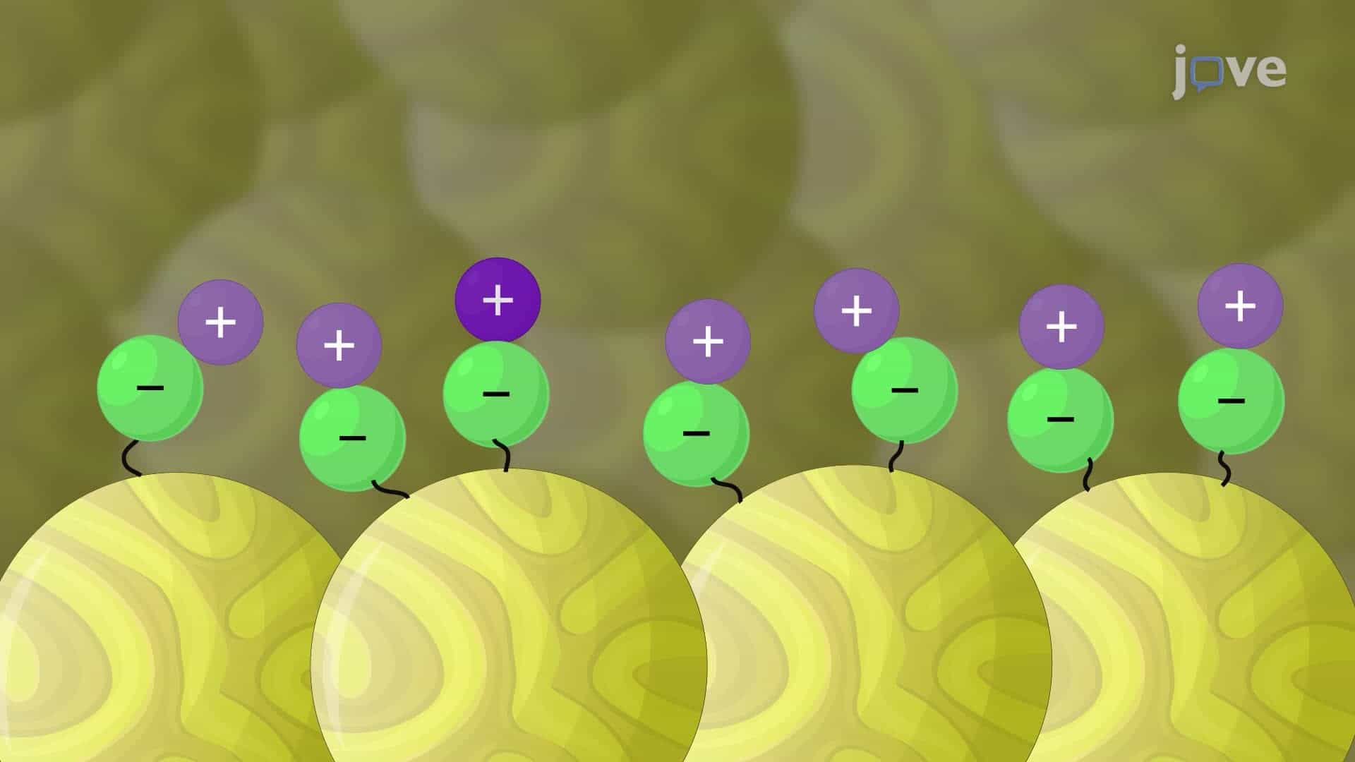 Ion-Exchange Chromatography