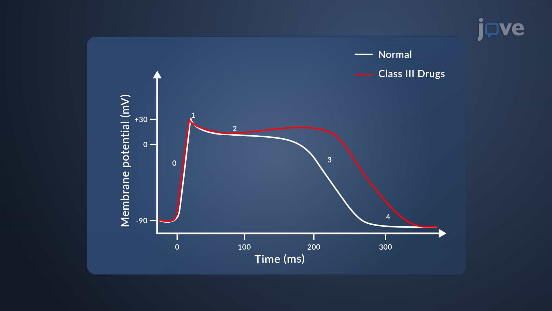 Antiarrhythmic Drugs: Class III Agents as Potassium Channel Blockers