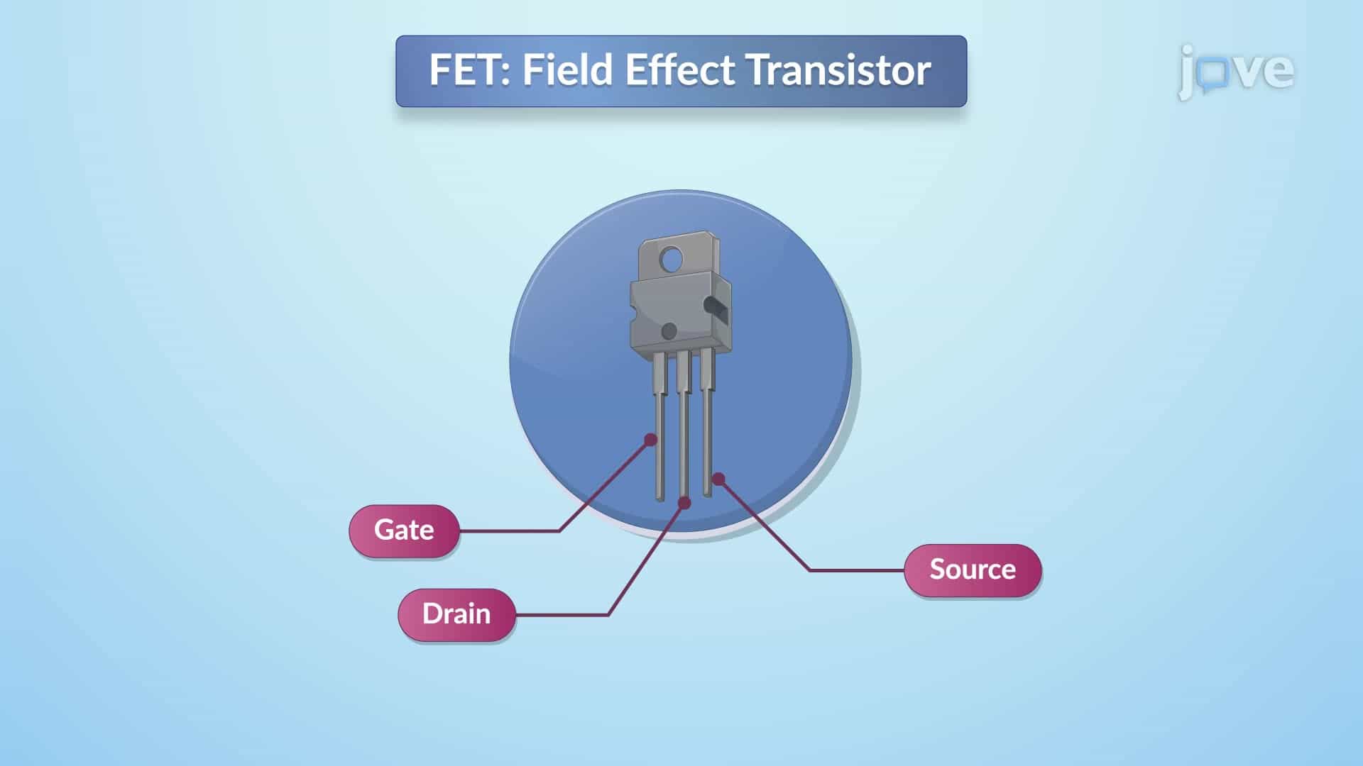 Field Effect Transistor