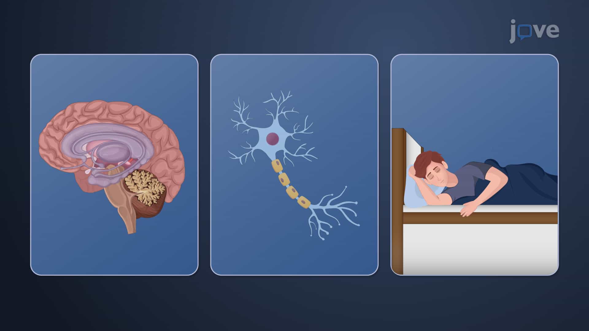 Sedatives and Hypnotics: Overview