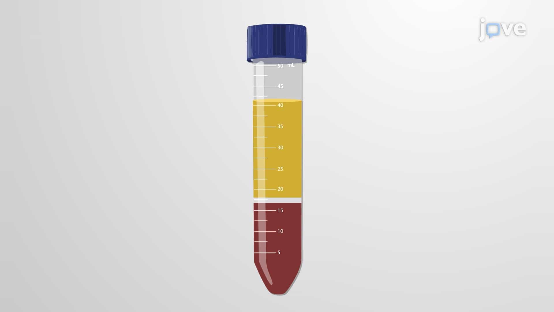 Composition of Blood Plasma