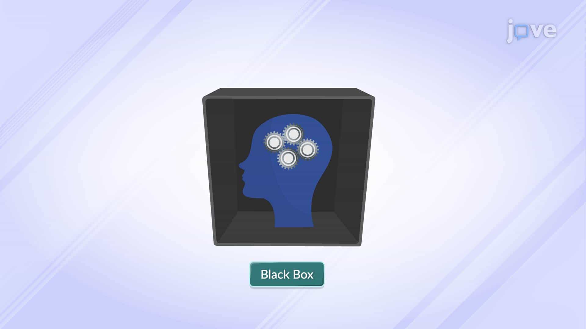 Black Box Model