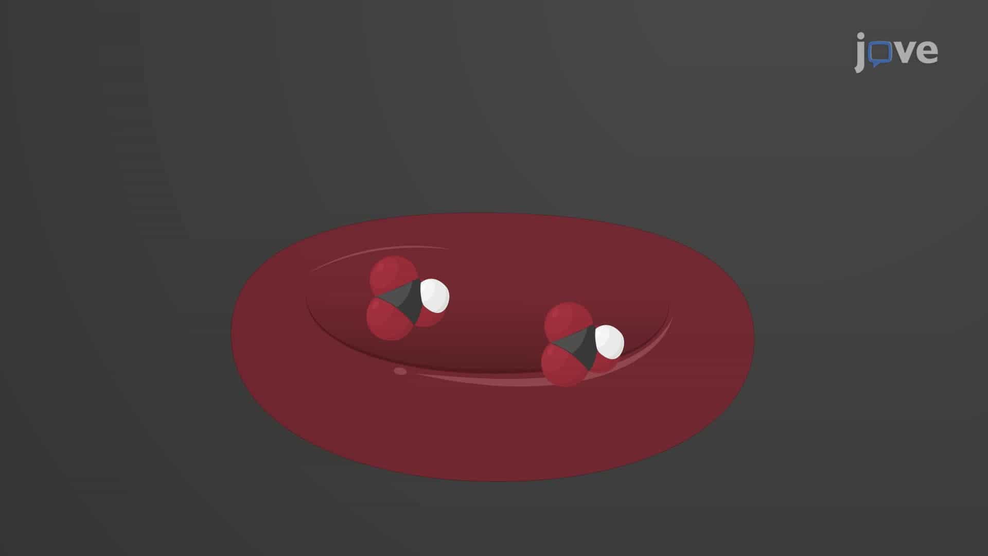 Acid-Base Balance