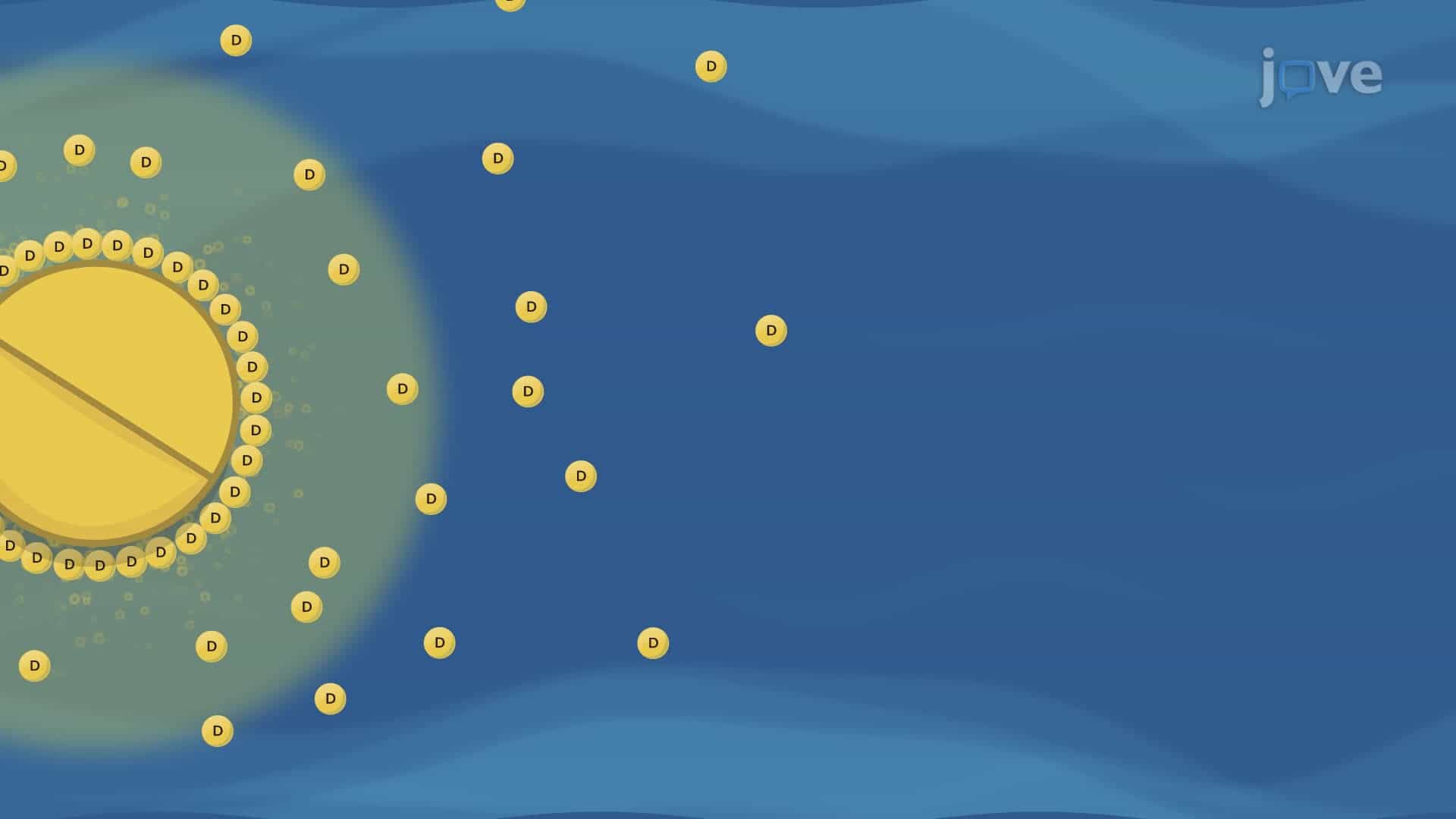Theories of Dissolution: Diffusion Layer Model