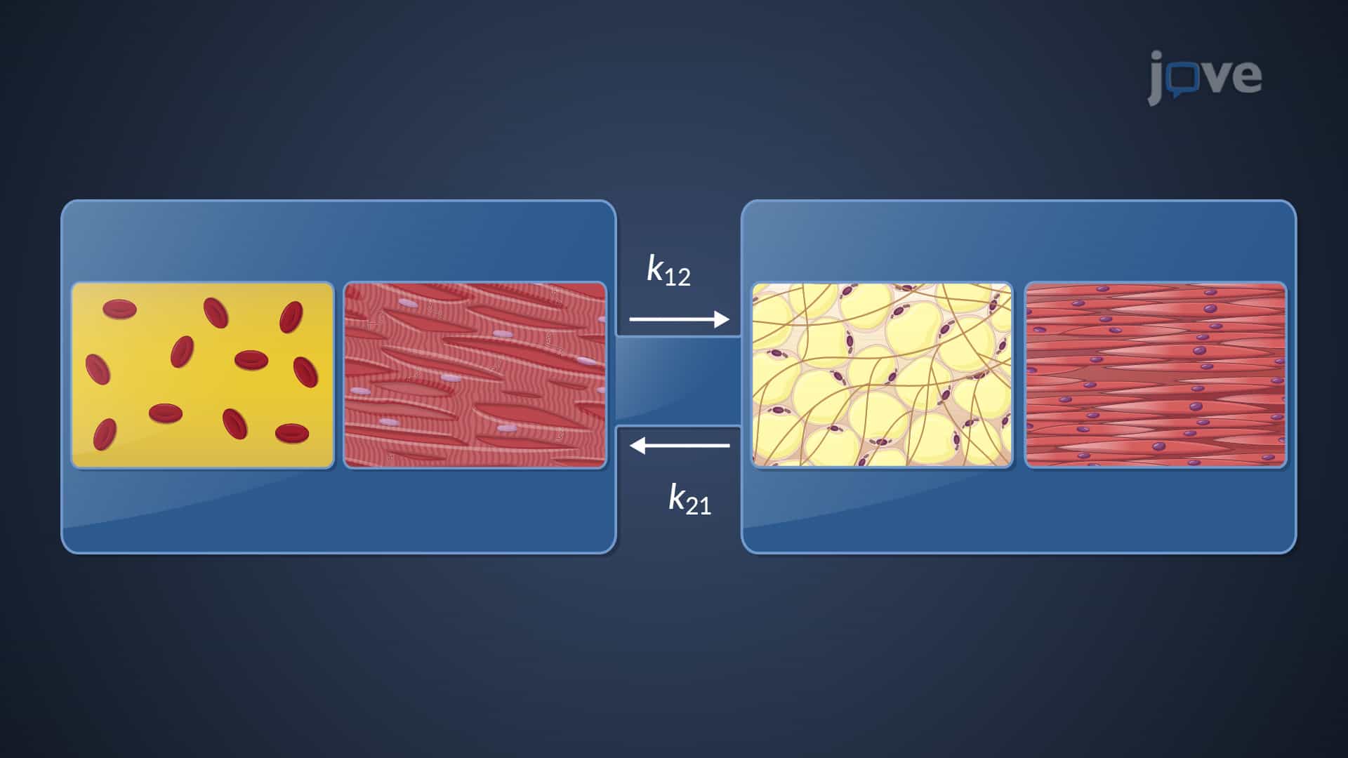 Model Approaches for Pharmacokinetic Data: Compartment Models