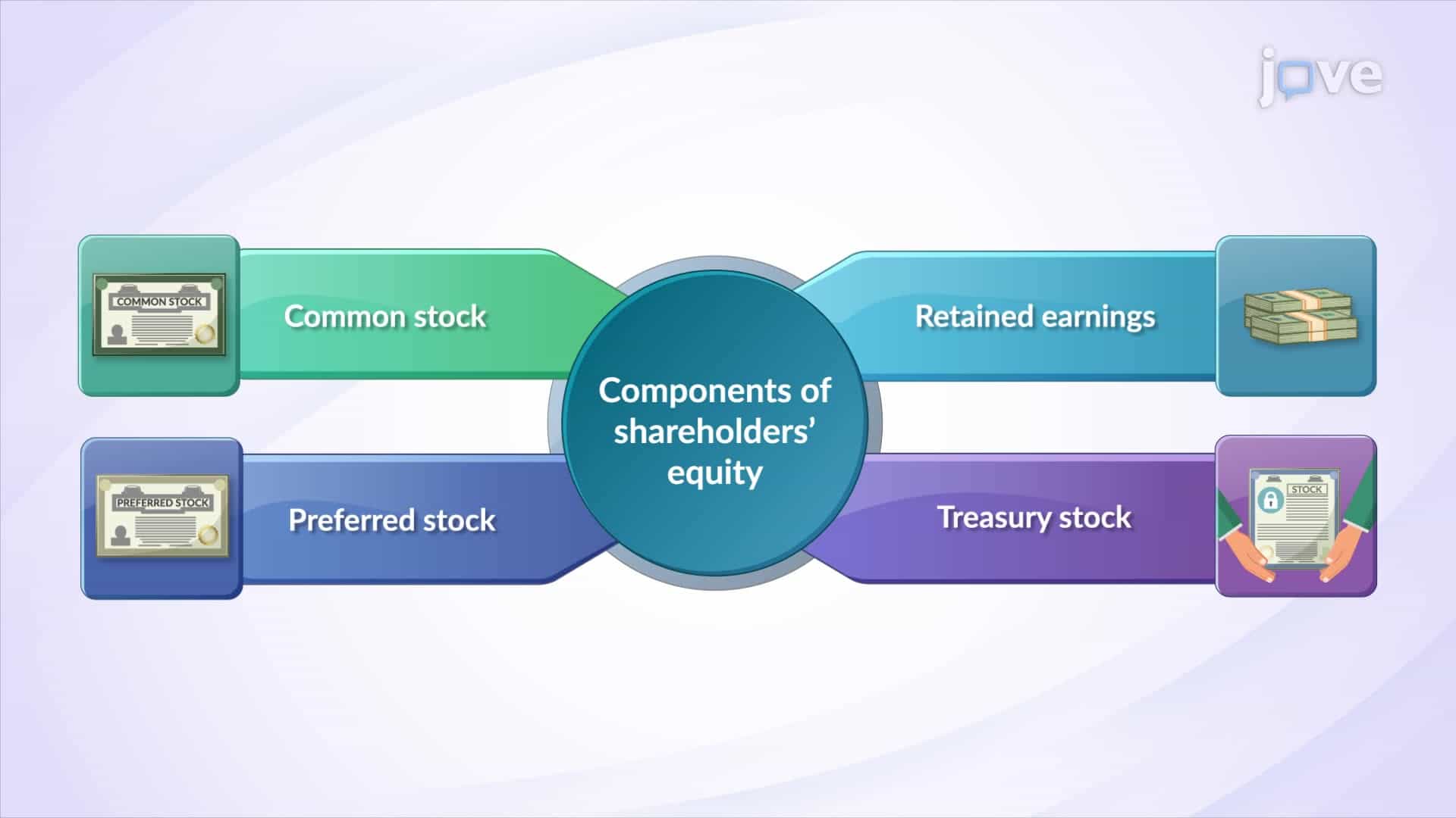 Shareholder's Equity