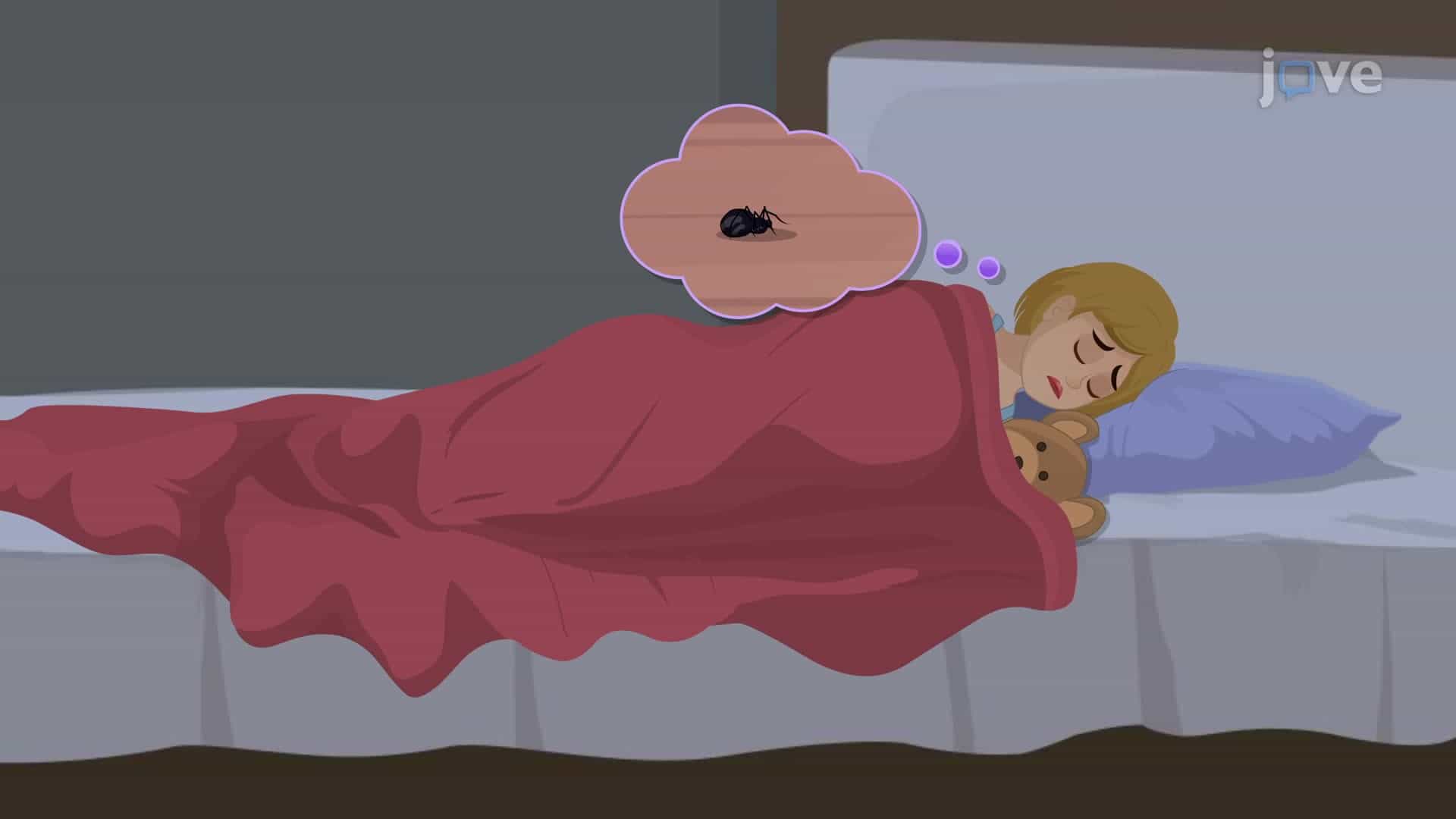 Nightmares and Night Terrors