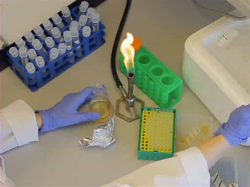 Bunsen Burner: Components, Operation and Flame Types