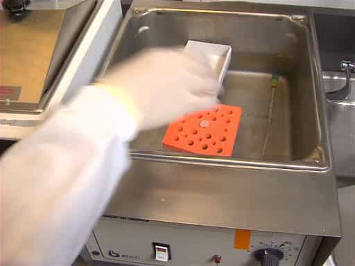 Regulating Temperature in the Lab: Applying Heat