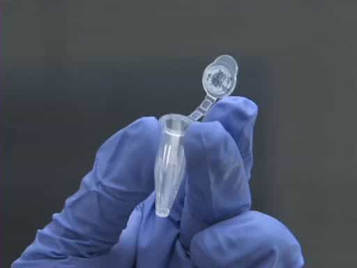 DNA Ligation Reactions: Principle, Procedure, and Applications
