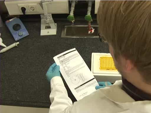 Molecular Cloning: Principle, Procedure, and Applications
