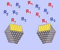 Catalysis: Homogeneous and Heterogeneous Catalysts