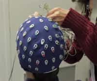 EEG: EEG Signal Origin, Even Related Potentials &amp; Cognition