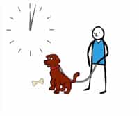 Positive Reinforcement-Operant Conditioning Studies