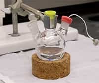 Solid-Liquid Extraction: Principle, Procedure, Applications