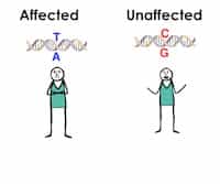 SNP Genotyping and GWAS