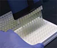 The ATP Bioluminescence Assay