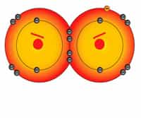 Reactive Oxygen Species and Oxidative Stress