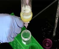 Size Exclusion and Affinity Chromatography