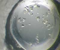 Protein Expression, Crystallization, and X-Ray Diffraction